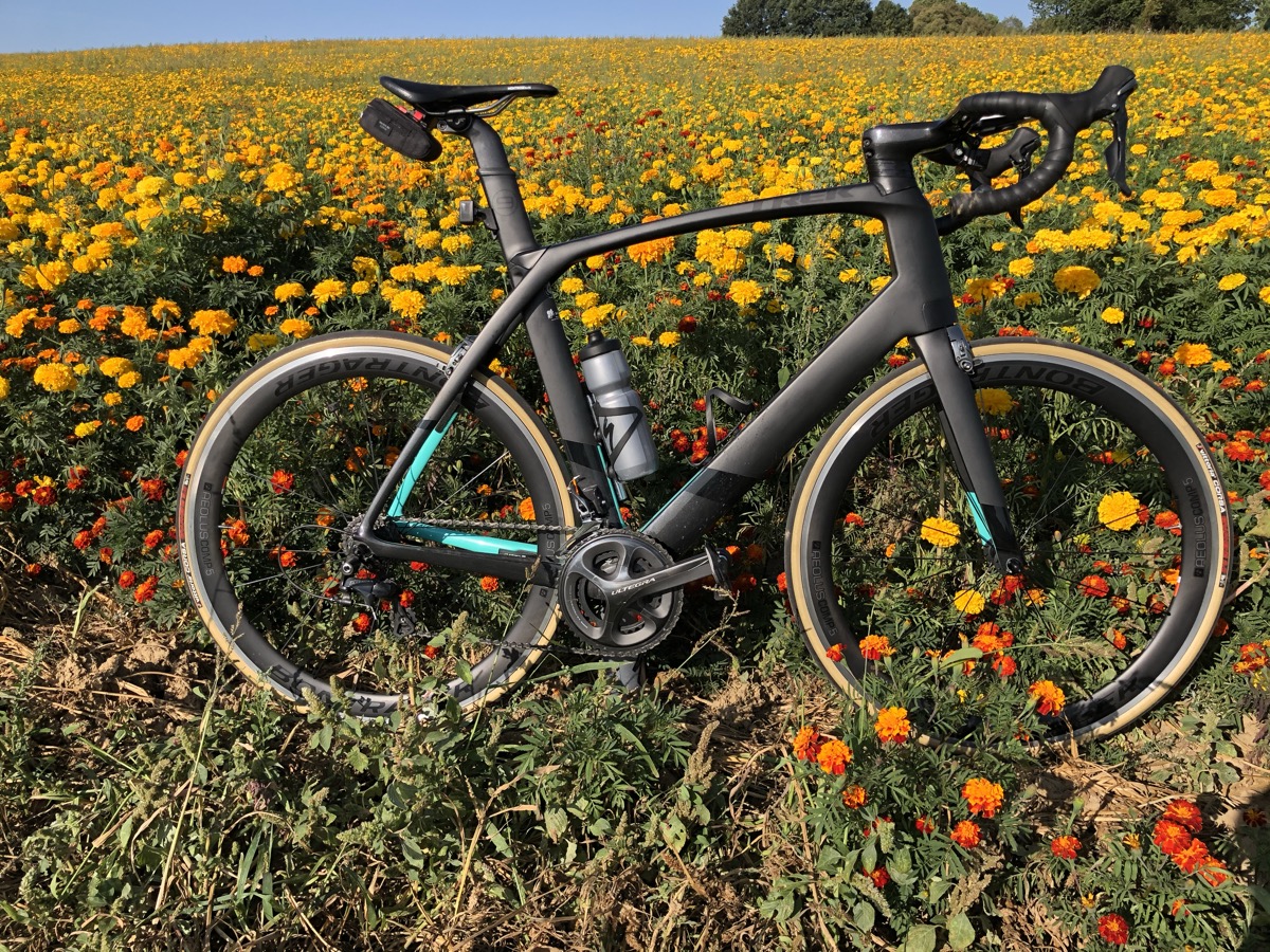 Rennrad vor Blumenfeld